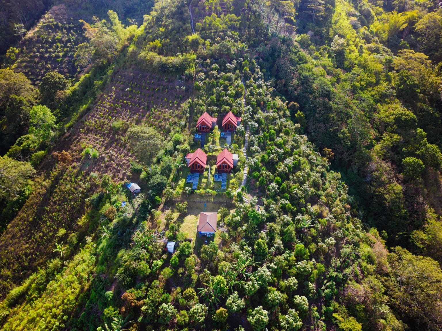 An aerial view of hillside cabins with red roofs surrounded by forest.